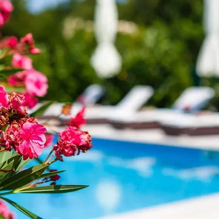Kamenica Im Mediterranen Stil Mit Innen- Und Aussenpool By Interhome Vikendica Kras