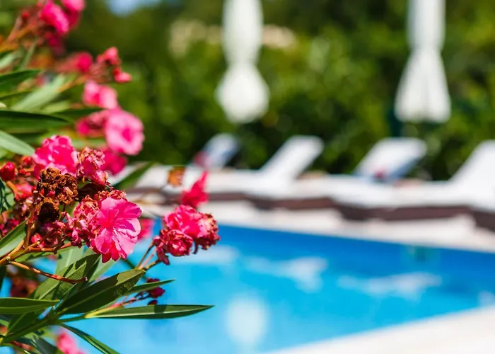 Kamenica Im Mediterranen Stil Mit Innen- Und Aussenpool By Interhome Ferienhaus Kras