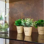 Kamenica Im Mediterranen Stil Mit Innen- Und Aussenpool By Interhome